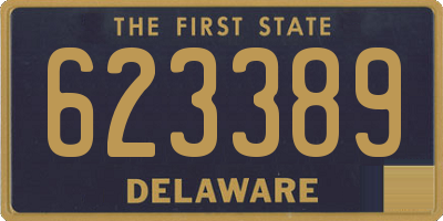 DE license plate 623389