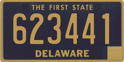 DE license plate 623441