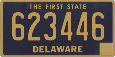 DE license plate 623446