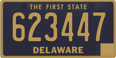 DE license plate 623447