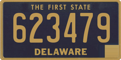 DE license plate 623479