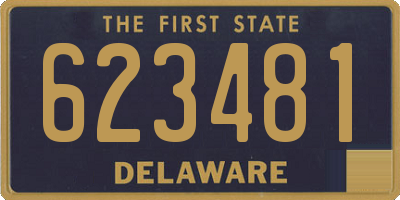 DE license plate 623481