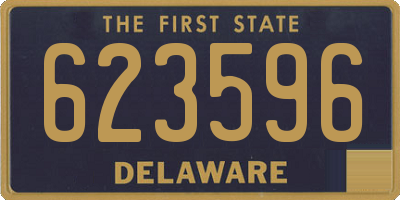 DE license plate 623596
