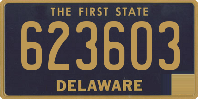 DE license plate 623603