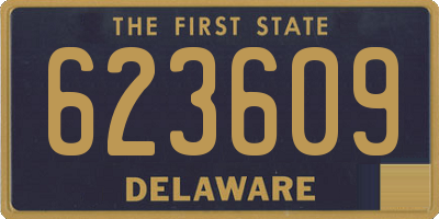 DE license plate 623609
