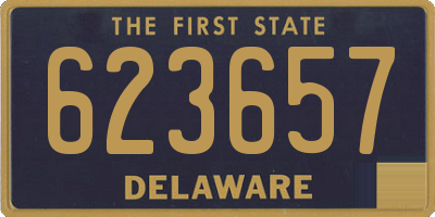 DE license plate 623657