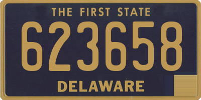 DE license plate 623658