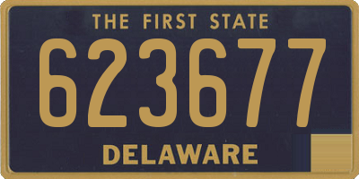DE license plate 623677