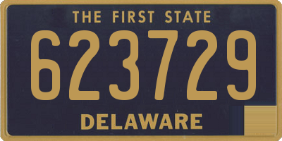 DE license plate 623729
