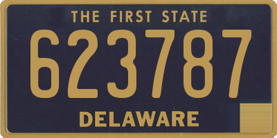 DE license plate 623787