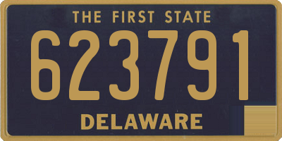 DE license plate 623791
