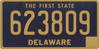 DE license plate 623809