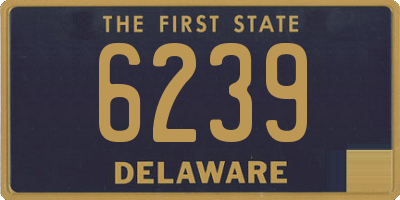DE license plate 6239