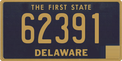 DE license plate 62391