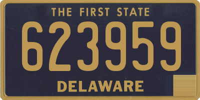 DE license plate 623959