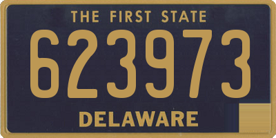 DE license plate 623973