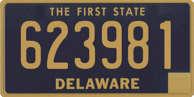 DE license plate 623981
