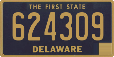 DE license plate 624309