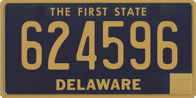 DE license plate 624596