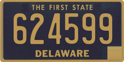DE license plate 624599