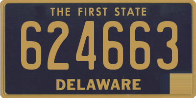 DE license plate 624663