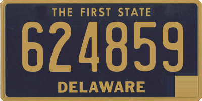 DE license plate 624859