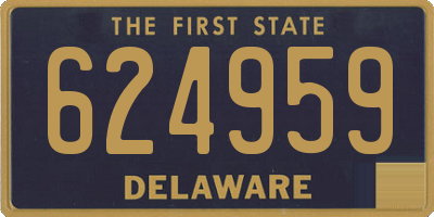 DE license plate 624959