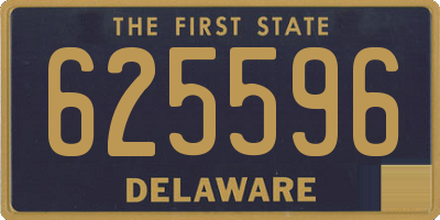 DE license plate 625596