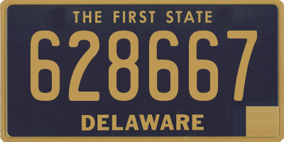 DE license plate 628667