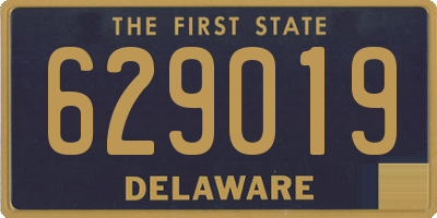 DE license plate 629019