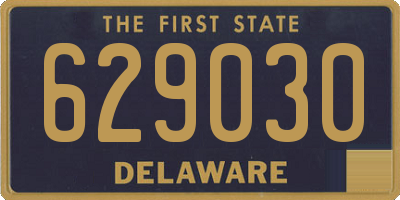 DE license plate 629030