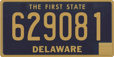 DE license plate 629081