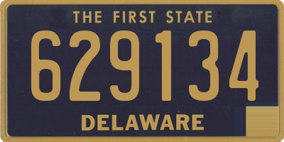 DE license plate 629134