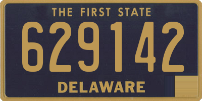 DE license plate 629142
