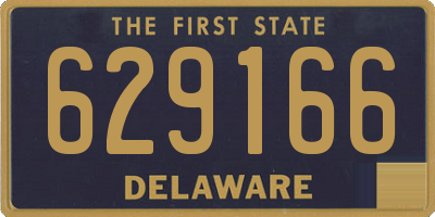 DE license plate 629166