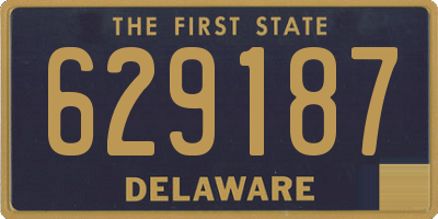 DE license plate 629187