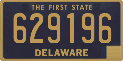 DE license plate 629196