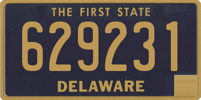 DE license plate 629231