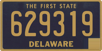 DE license plate 629319