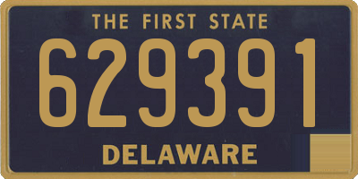 DE license plate 629391