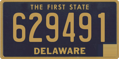 DE license plate 629491