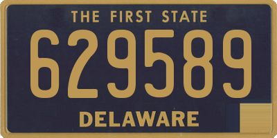 DE license plate 629589