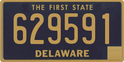 DE license plate 629591
