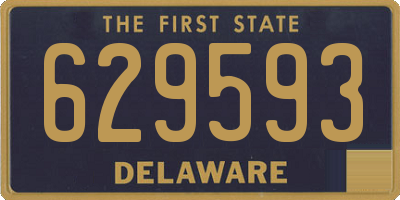 DE license plate 629593