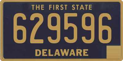 DE license plate 629596