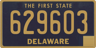 DE license plate 629603