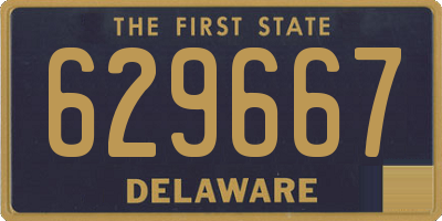 DE license plate 629667