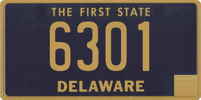 DE license plate 6301
