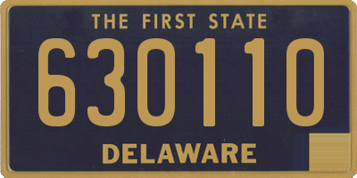 DE license plate 630110