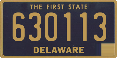 DE license plate 630113